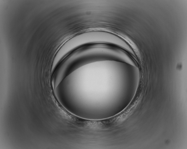 X0000098080809200804041147
