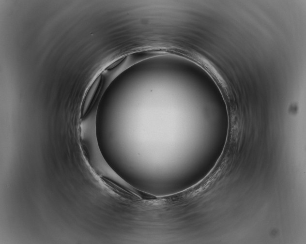 X0000098080810200804041147