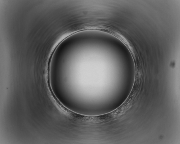 X0000098080811200804041147