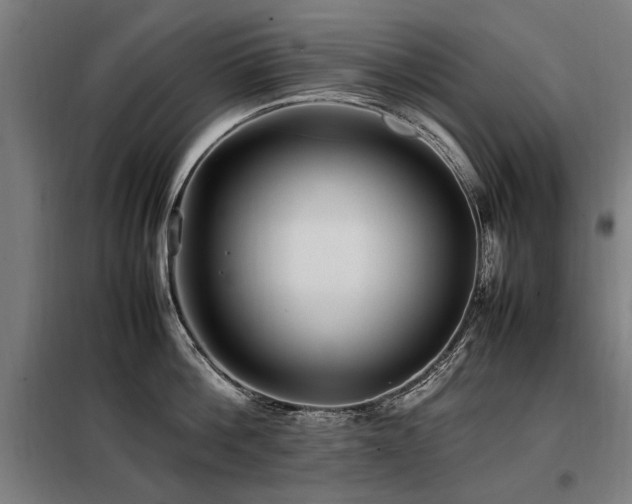 X0000098080812200804041147