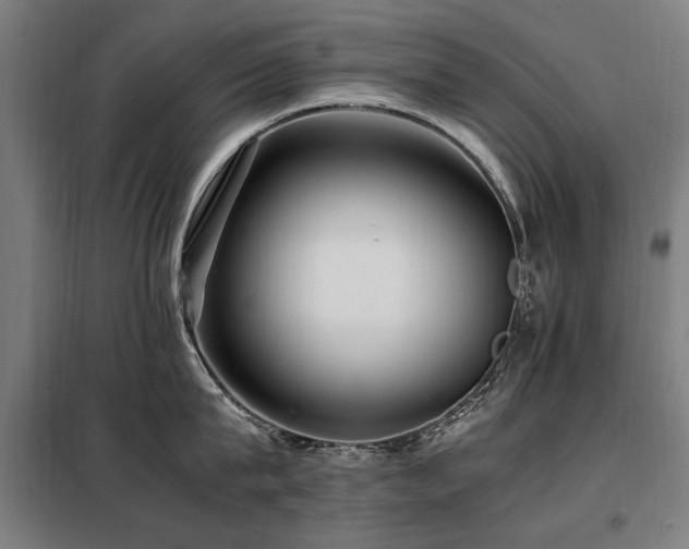 X0000098080815200804041147