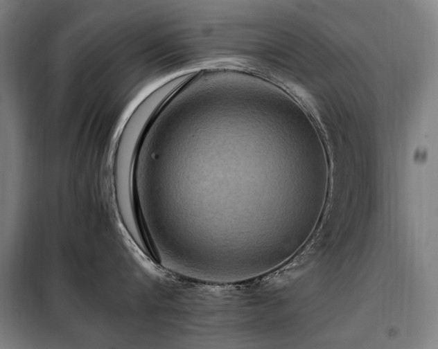 X0000098080816200804041147