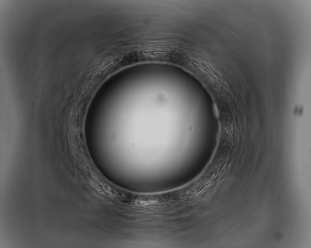 X0000098080817200804041146