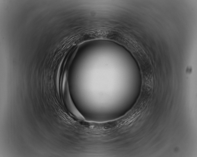 X0000098080818200804041146