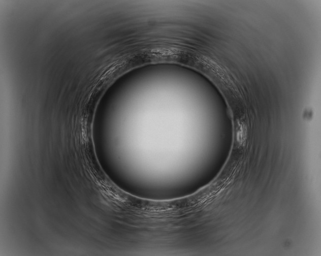 X0000098080819200804041146