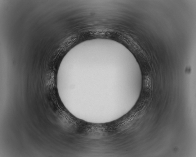 X0000098080820200804041146