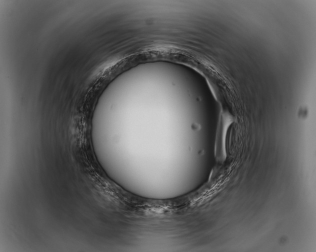 X0000098080822200804041146