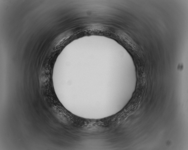 X0000098080824200804041146