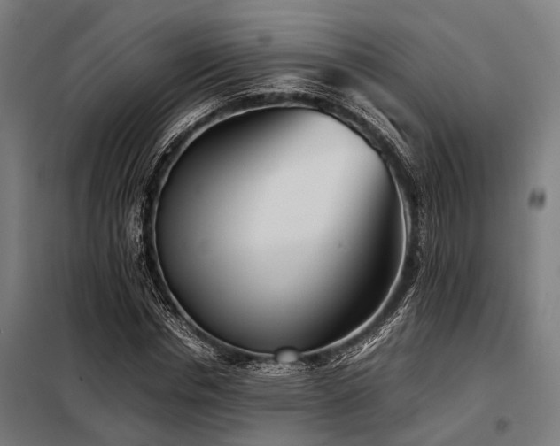 X0000098080826200804041146