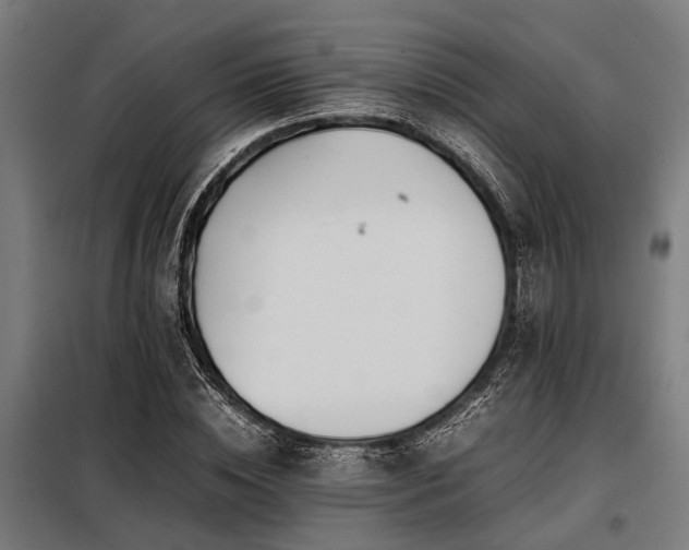 X0000098080828200804041146