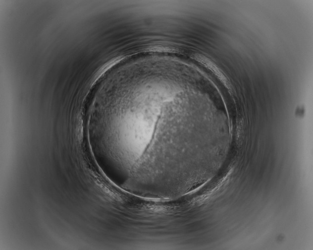 X0000098080829200804041146