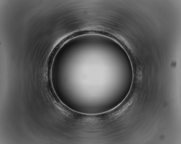X0000098080830200804041146