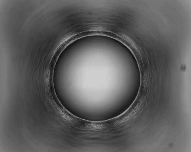 X0000098080831200804041146