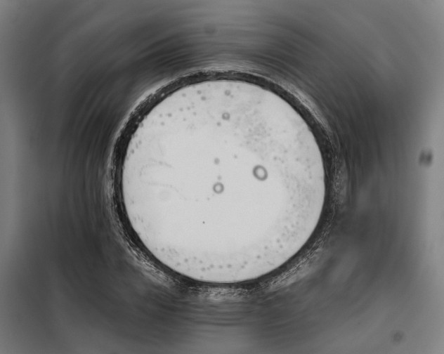 X0000098080832200804041146