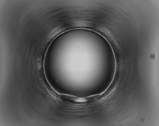 X0000098080833200804041146