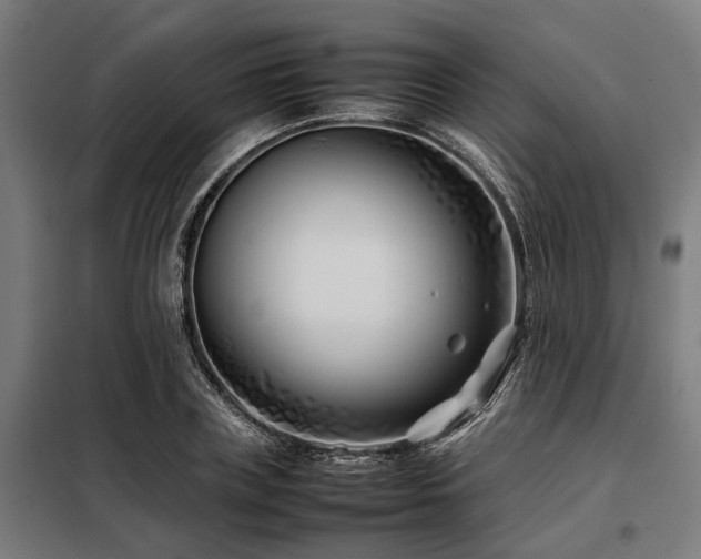 X0000098080835200804041146