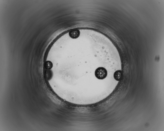 X0000098080836200804041146