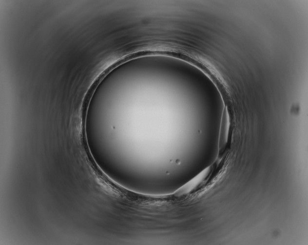 X0000098080837200804041146