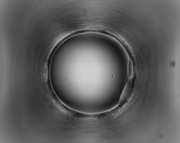 X0000098080838200804041146