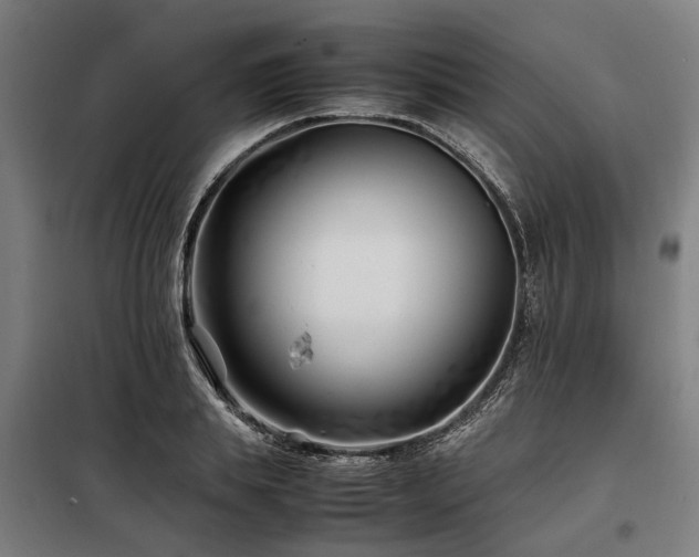 X0000098080839200804041146