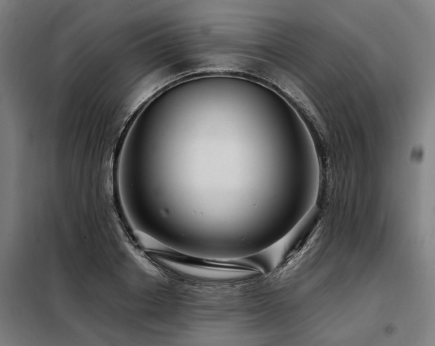 X0000098080842200804041147