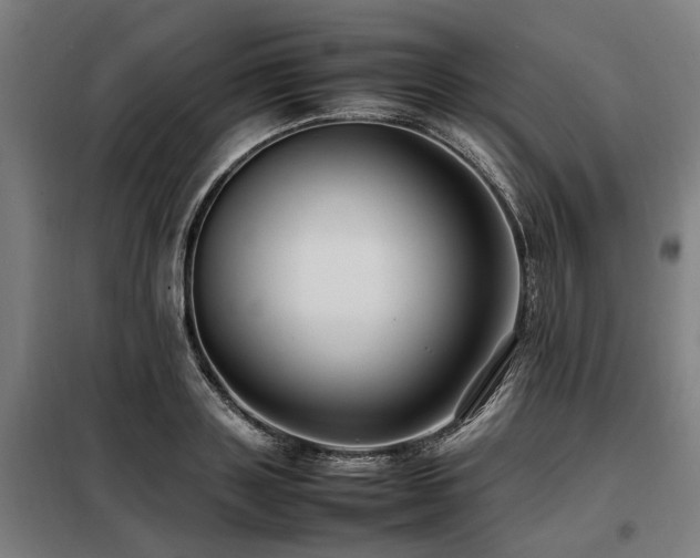 X0000098080843200804041147