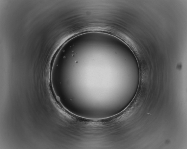 X0000098080844200804041147