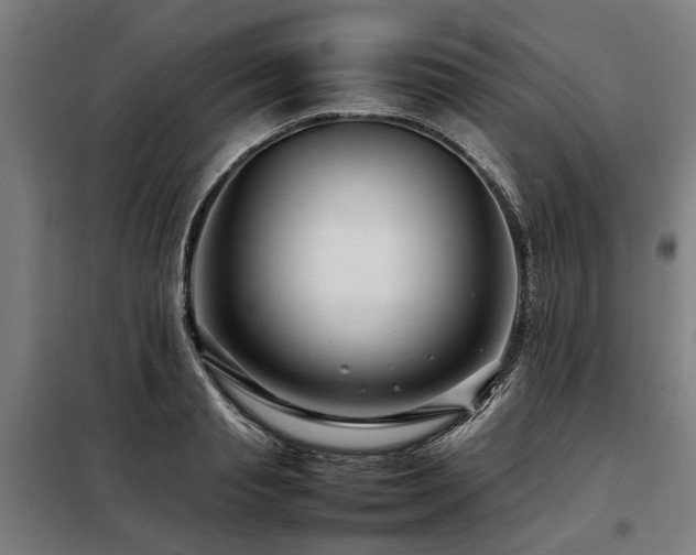 X0000098080845200804041147