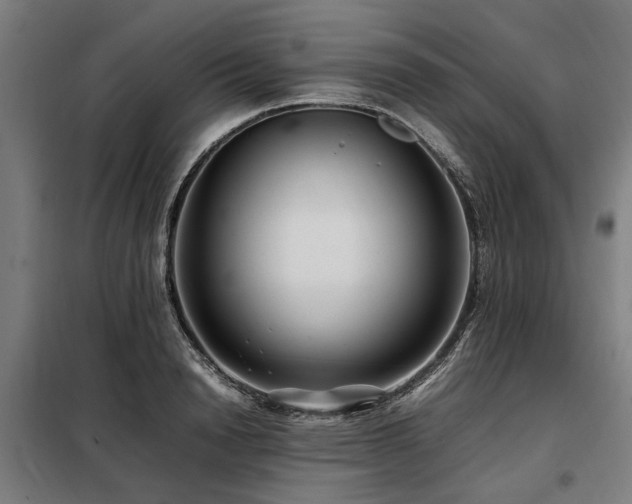 X0000098080846200804041147