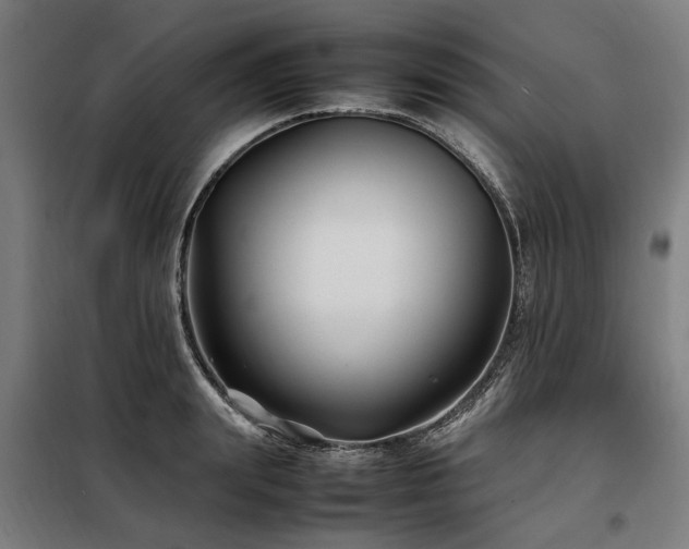 X0000098080847200804041147