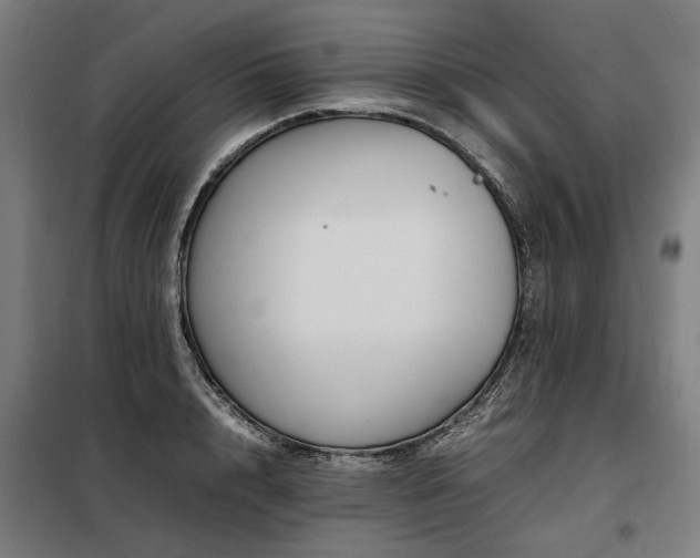 X0000098080848200804041147