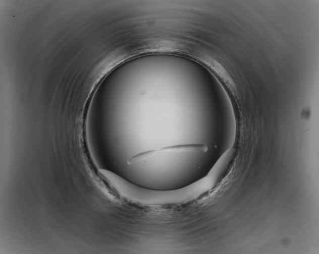 X0000098080850200804041147