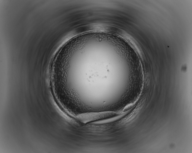 X0000098080851200804041147