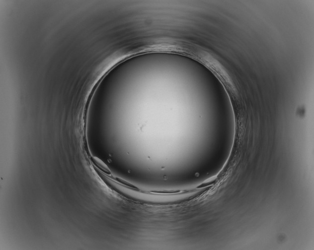 X0000098080852200804041147