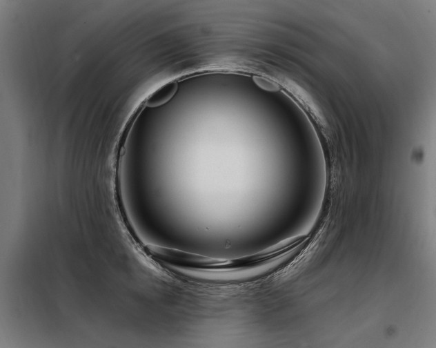 X0000098080854200804041147