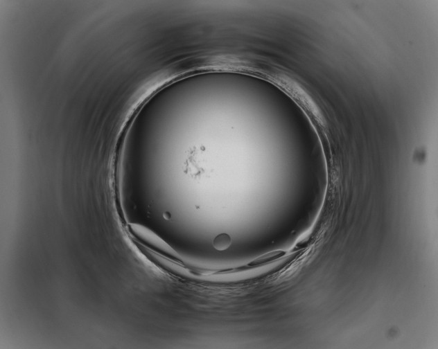 X0000098080855200804041147