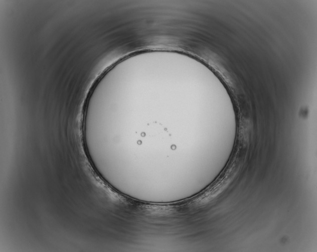 X0000098080856200804041147