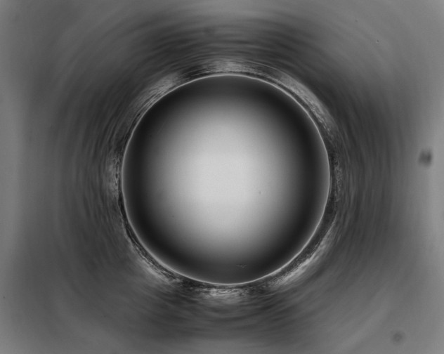 X0000098080857200804041147