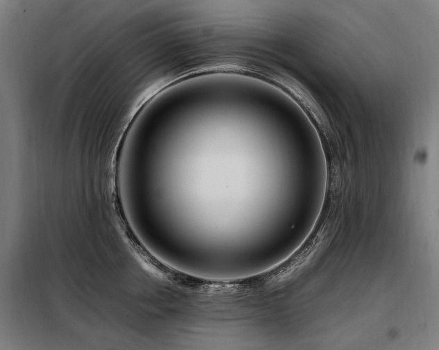 X0000098080858200804041147