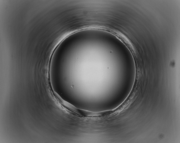 X0000098080860200804041147