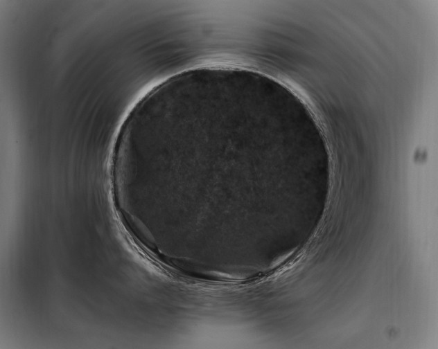 X0000098080864200804041147