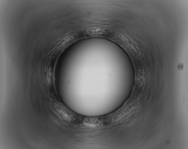 X0000098080866200804041146
