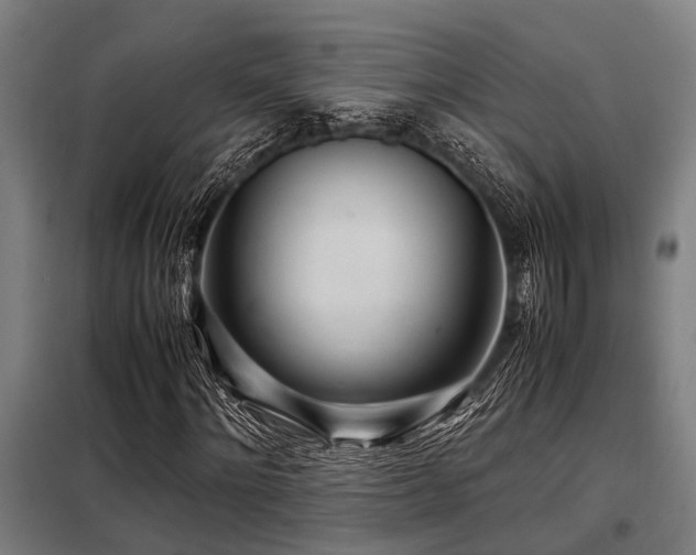 X0000098080868200804041146