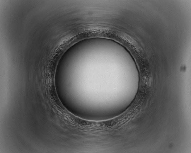 X0000098080869200804041146