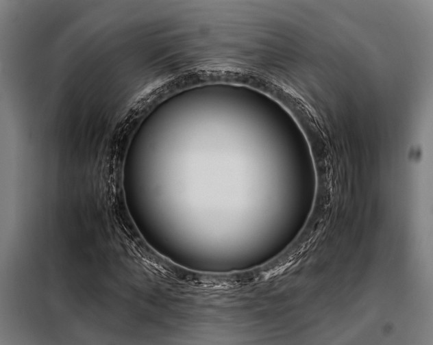 X0000098080870200804041146