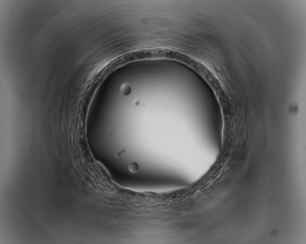 X0000098080871200804041146