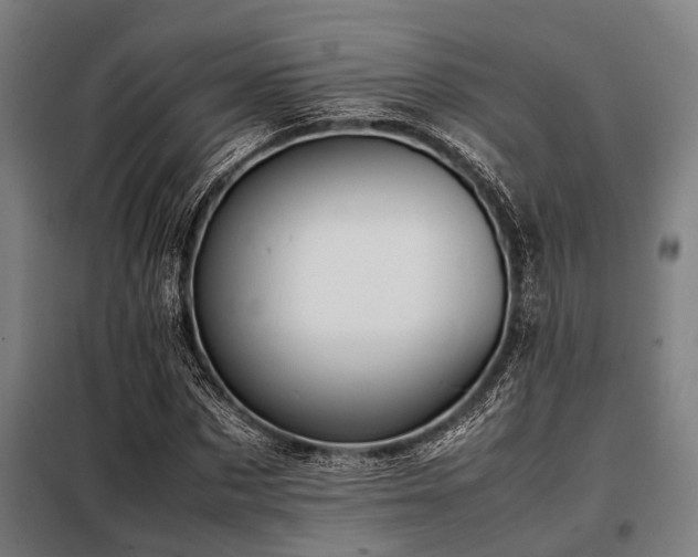 X0000098080873200804041146