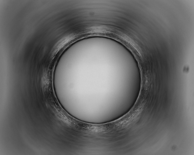 X0000098080874200804041146