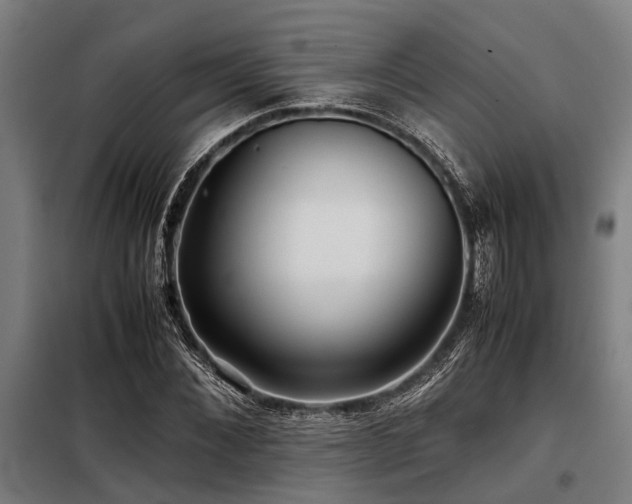 X0000098080876200804041146