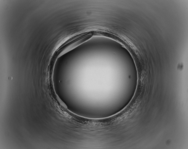 X0000098080877200804041146